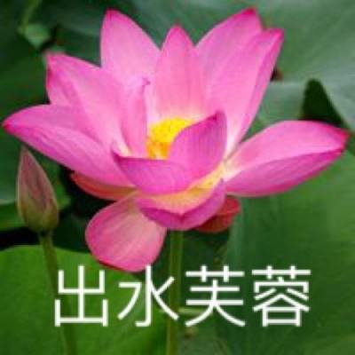 果盘游戏国战无双下载
